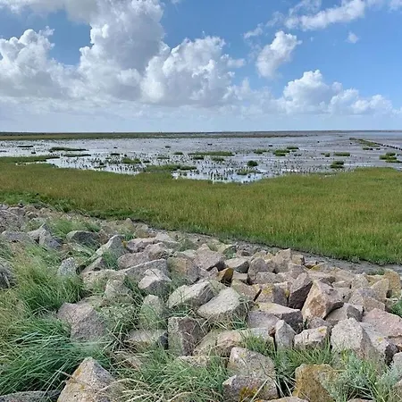 Apartman Dike Grass *