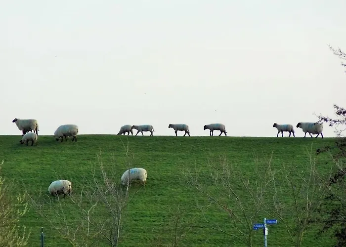 Dike Grass Apartamento *