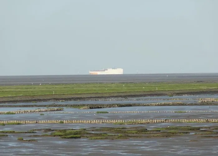 Apartamento Dike Grass