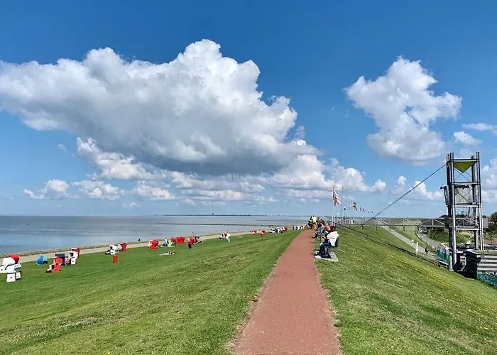 Dike Grass Friedrichskoog