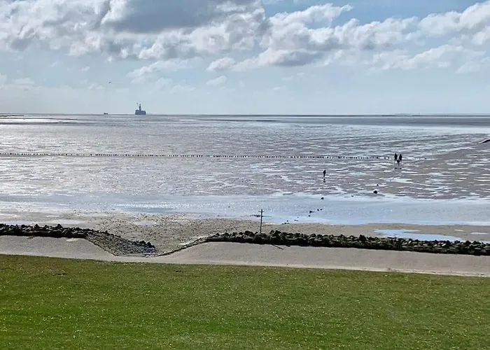 Dike Grass Apartamento