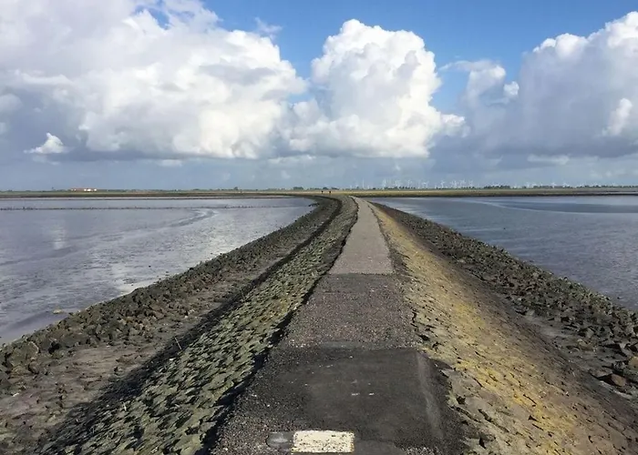 Dike Grass Apartamento