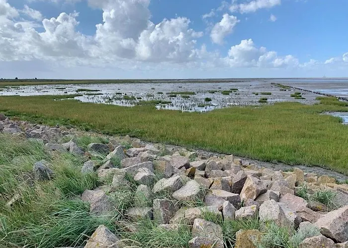 Apartamento Dike Grass *