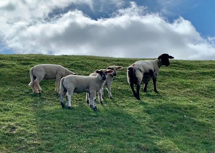 Apartamento Dike Grass